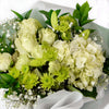 Blossoming Sunrise Mixed bouquet in white and cream. USA Delivery.