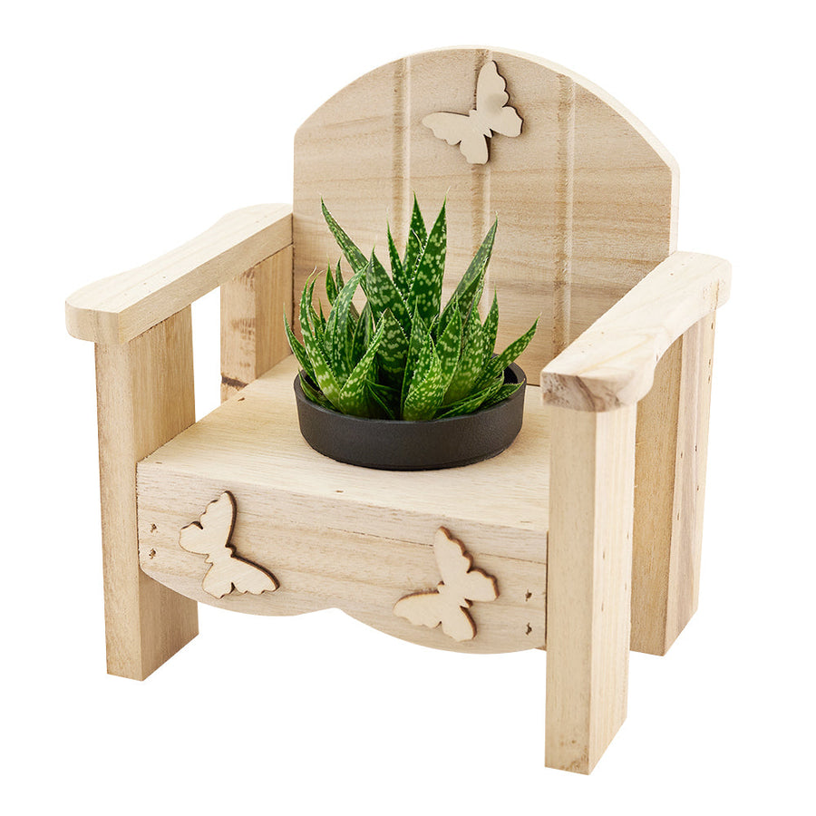 Butterfly planter chair arrangement with a potted succulent. USA Delivery