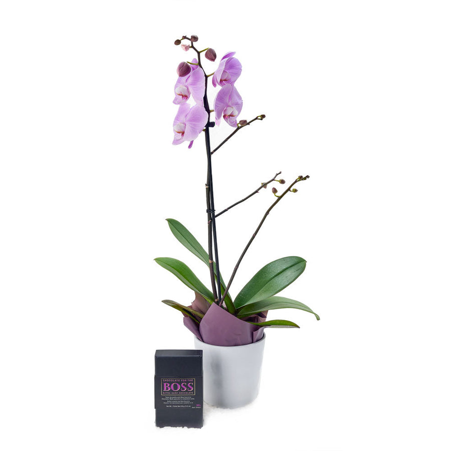 Floral Treasures Flowers Chocolate Gift - Orchid Gift Set - USA Delivery