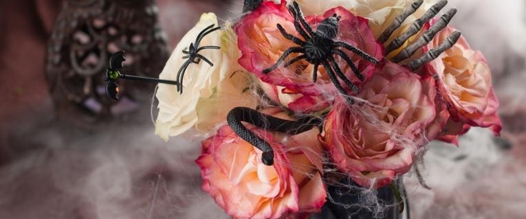 Halloween Beer Gifts