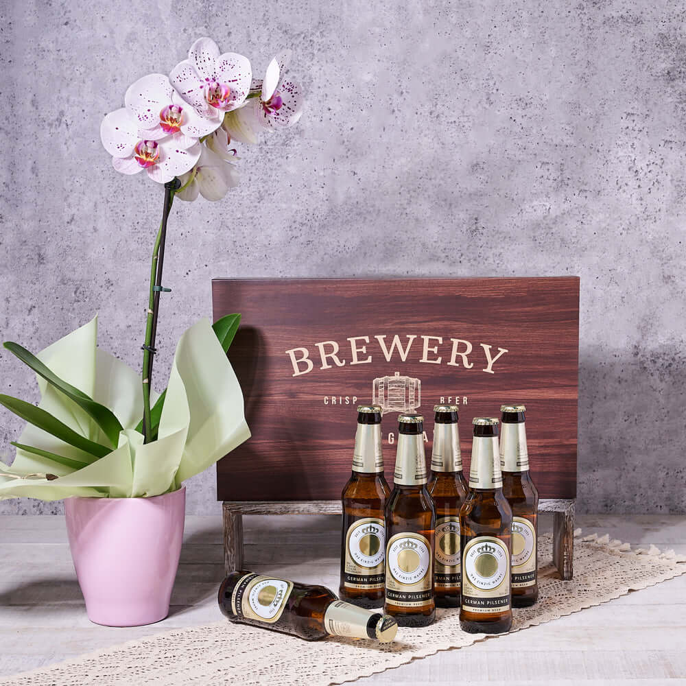 Cheery Orchid & Beer Gift, plant gift, beer gift, beer, orchid gift