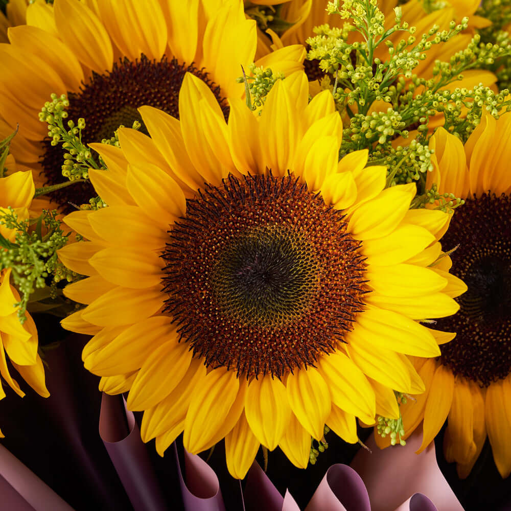 Summer Glory Sunflower Bouquet - Blooms - USA flower delivery