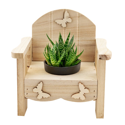 Butterfly planter chair arrangement with a potted succulent. USA Delivery