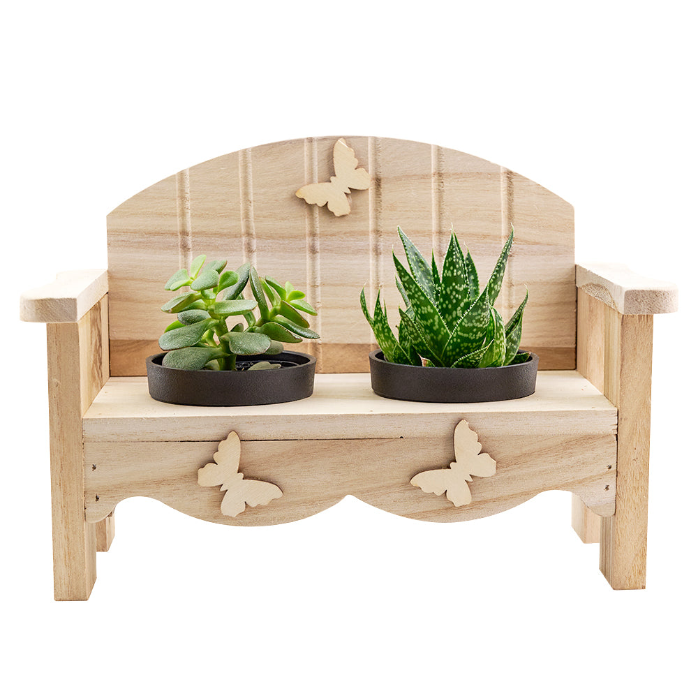 Succulent Greenhouse planter bench arrangement with a potted succulent. USA Delivery